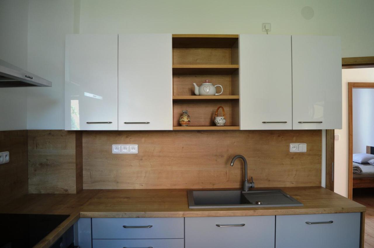 Apartman U Maleho Jezu 捷克布杰约维采 外观 照片